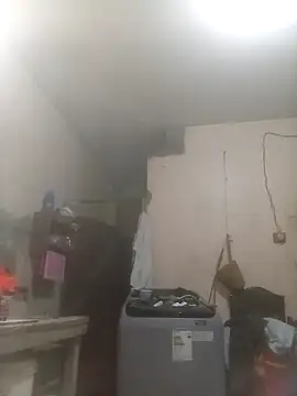 Bebicho14 online show from March 2026 12:54:01 PM