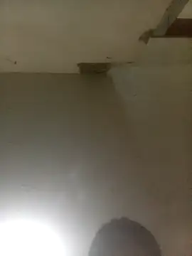 Bebicho14 online show from April 2026 05:49:02 AM