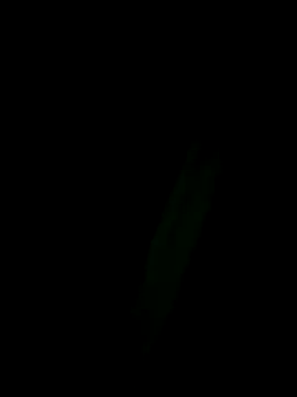 Snapshot of Marleymols chatting on December 2025 01:55:02 AM Marleymols online show from December 2025 01:55:02 AM