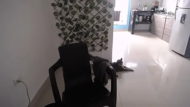 yohacriss online show from December 2025 08:36:02 PM