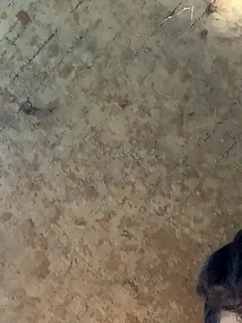 Snapshot of uniquesexyboy5689 chatting on November 2025 10:50:02 AM uniquesexyboy5689 online show from November 2025 10:50:02 AM