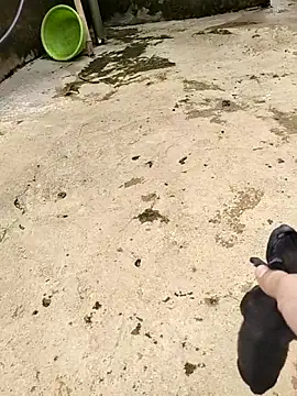 soope-00 online show from October 2025 03:36:01 AM