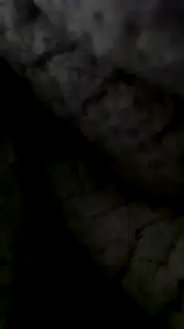 LanaAce719 online show from October 2025 07:41:01 AM