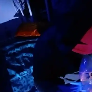 Snapshot of johnboones10 chatting on February 2026 05:00:02 PM johnboones10 online show from February 2026 05:00:02 PM