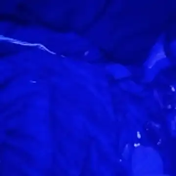 Snapshot of johnboones10 chatting on March 2026 09:15:01 AM johnboones10 online show from March 2026 09:15:01 AM