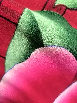 Snapshot of Family02 chatting on November 2025 04:41:02 PM Family02 online show from November 2025 04:41:02 PM