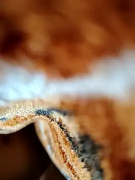 Hot lali 555 online show from January 2026 02:41:01 PM