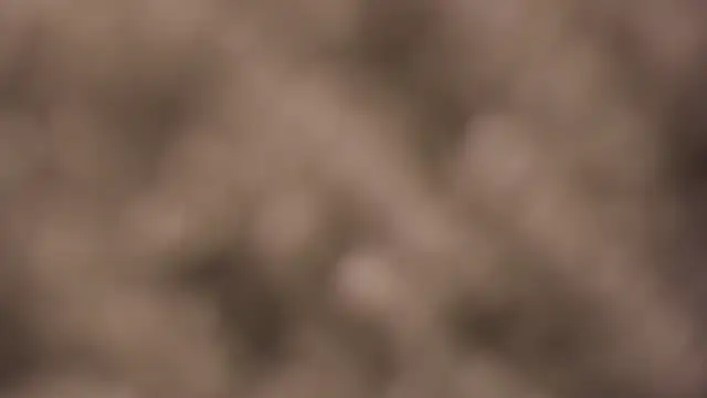 lauren bigboobs22 online show from March 2026 06:14:02 PM