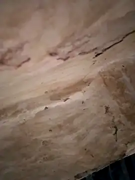 Snapshot of Sexy_hot66 chatting on September 2025 12:55:01 AM Sexy hot66 online show from September 2025 12:55:01 AM