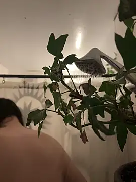 Snapshot of crashnasty chatting on April 2026 03:55:01 AM crashnasty online show from April 2026 03:55:01 AM