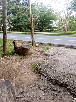 charlotte dante212 online show from November 2025 09:25:02 PM