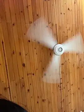 tony and katy online show from April 2026 07:07:02 PM