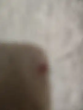 sert erkekk online show from January 2026 09:42:02 PM