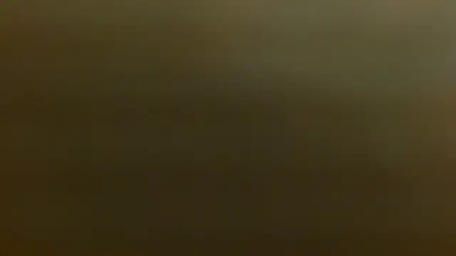 criss zuri online show from December 2025 12:21:02 PM