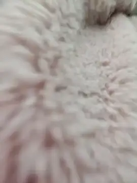 Snapshot of Tin_tanny chatting on January 2026 12:59:02 AM Tin tanny online show from January 2026 12:59:02 AM