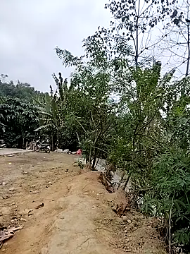 Snapshot of Tin_tanny chatting on February 2026 12:37:02 AM Tin tanny online show from February 2026 12:37:02 AM