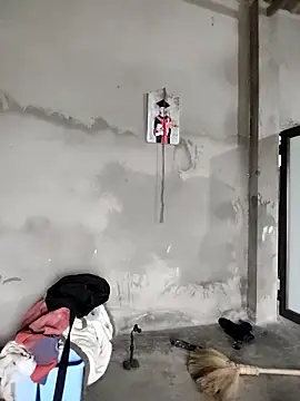 Snapshot of Tin_tanny chatting on February 2026 01:10:02 AM Tin tanny online show from February 2026 01:10:02 AM