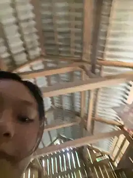 mai-xinh online show from October 2025 01:39:02 AM