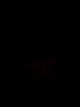 moneybaggtj online show from November 2025 11:25:01 AM