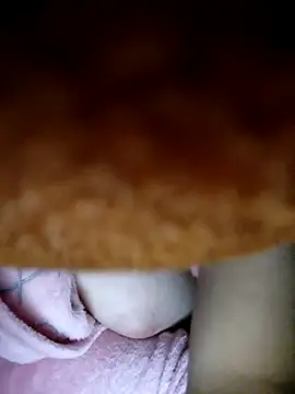 CHahed-5 online show from January 2026 01:08:01 AM