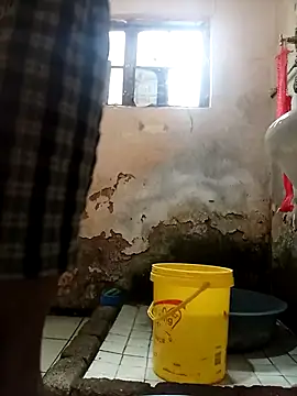 average price online show from December 2025 04:18:02 AM