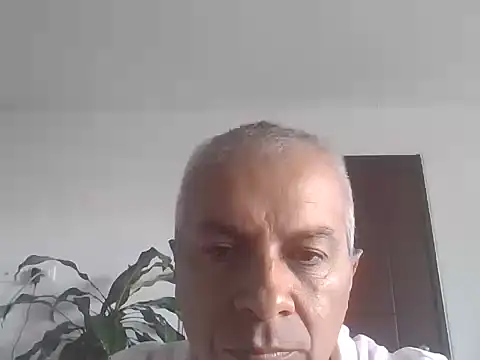 ALFRERM online show from October 2025 07:35:02 PM