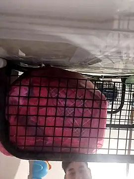 Snapshot of Ferxxxo1503 chatting on November 2025 06:24:02 AM Ferxxxo1503 online show from November 2025 06:24:02 AM