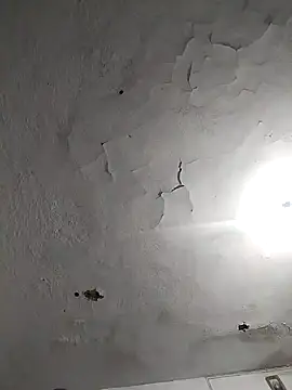 Ferxxxo1503 online show from November 2025 07:41:01 AM