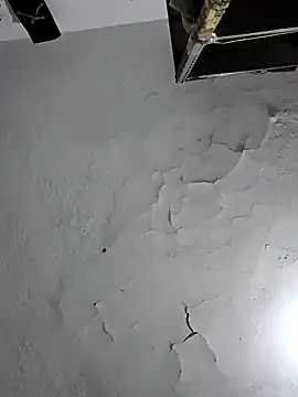 Ferxxxo1503 online show from February 2026 05:45:01 AM