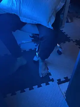 Snapshot of THEDICKBOY17 chatting on September 2025 08:31:01 PM THEDICKBOY17 online show from September 2025 08:31:01 PM