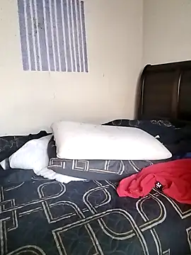 Snapshot of donchico0 chatting on March 2026 05:29:01 AM donchico0 online show from March 2026 05:29:01 AM