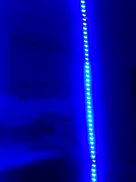 Big Ass Black Cock online show from October 2025 06:54:01 AM