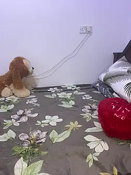 Snapshot of vinushi chatting on February 2026 05:47:02 AM vinushi online show from February 2026 05:47:02 AM