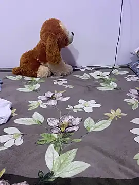 Snapshot of vinushi chatting on February 2026 02:59:02 PM vinushi online show from February 2026 02:59:02 PM