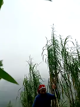 Snapshot of kemtuoi-sex chatting on April 2026 02:56:01 AM kemtuoi-sex online show from April 2026 02:56:01 AM