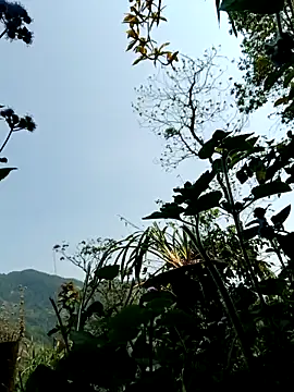 Snapshot of kemtuoi-sex chatting on April 2026 03:17:02 AM kemtuoi-sex online show from April 2026 03:17:02 AM