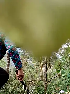 Snapshot of kemtuoi-sex chatting on April 2026 10:19:02 AM kemtuoi-sex online show from April 2026 10:19:02 AM