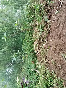 Snapshot of kemtuoi-sex chatting on April 2026 09:41:02 AM kemtuoi-sex online show from April 2026 09:41:02 AM