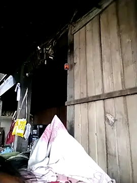 Samdim23 online show from October 2025 02:29:01 AM