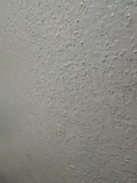 Wild-Nayra online show from October 2025 01:36:02 AM