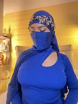 Snapshot of _hafsa_ chatting on September 2025 10:25:02 PM hafsa online show from September 2025 10:25:02 PM