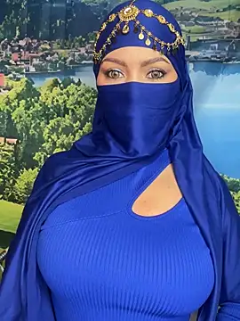 Snapshot of _hafsa_ chatting on November 2025 11:21:01 AM hafsa online show from November 2025 11:21:01 AM