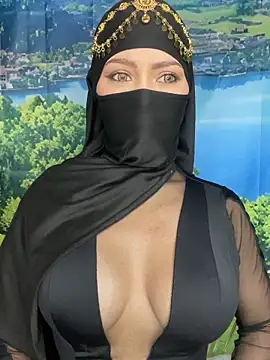 Snapshot of _hafsa_ chatting on November 2025 11:09:01 AM hafsa online show from November 2025 11:09:01 AM