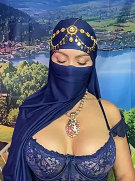 Snapshot of _hafsa_ chatting on November 2025 11:21:02 AM hafsa online show from November 2025 11:21:02 AM