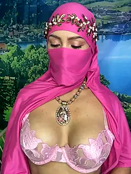 Snapshot of _hafsa_ chatting on November 2025 11:21:01 AM hafsa online show from November 2025 11:21:01 AM