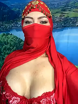 Snapshot of _hafsa_ chatting on November 2025 11:31:02 AM hafsa online show from November 2025 11:31:02 AM