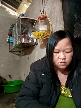 Snapshot of riso-00 chatting on January 2026 06:49:02 AM riso-00 online show from January 2026 06:49:02 AM