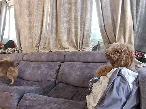 Alexis21821 online show from December 2025 07:05:01 AM