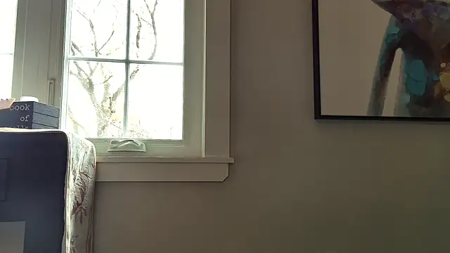 3totangox online show from November 2025 04:28:02 PM