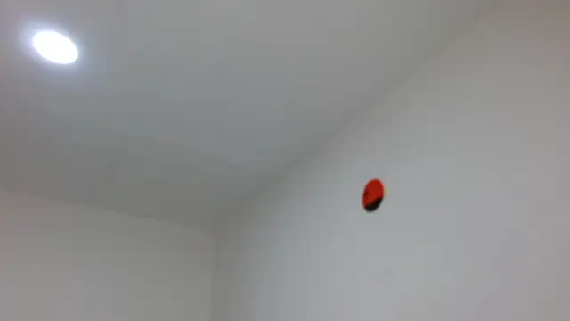 jaico santos online show from February 2026 11:12:01 PM